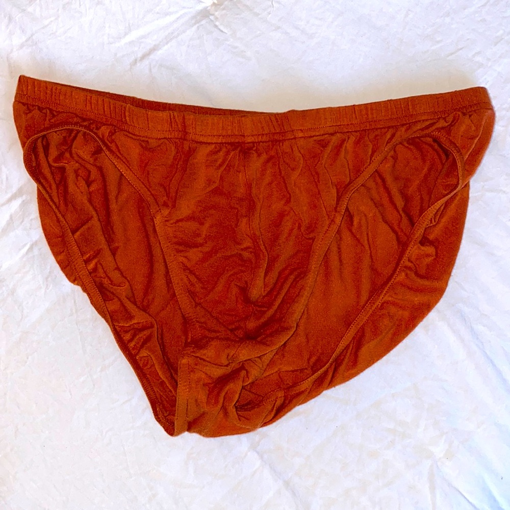 Todd Sanfield Modal Bikini Brief